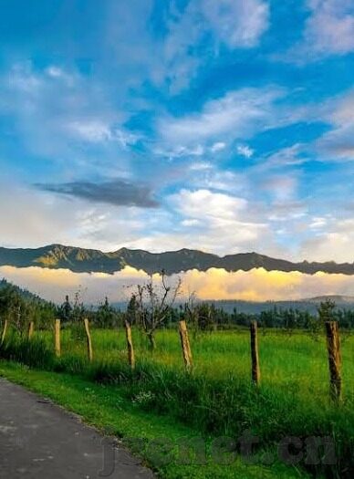 777麻豆视频-探秘777麻豆视频，网络时代的多元化娱乐视角