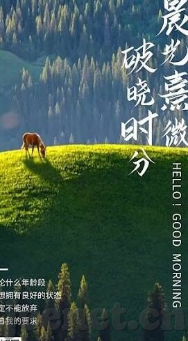 91麻豆不见星空槿晓婷-寻找星空下的独特魅力——麻豆槿晓婷的闪耀时刻