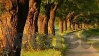 美剧伦理三级-探索美剧中的伦理与情感深度，三级视角下的故事编织
